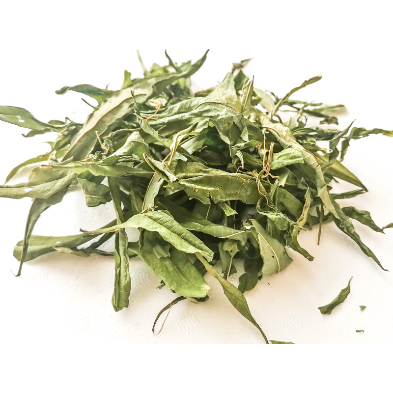 ARBATA FERMENTUOTAS SIAURALAPIS GAUROMETIS, 20 G