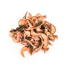 DŽIOVINTOS KRIAUŠĖS,  100 G.