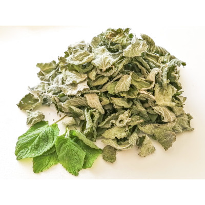 OBUOLINĖ MĖTA, 10 G.